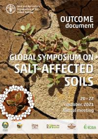 Global Symposium on Salt-Affected Soils: Outcome document