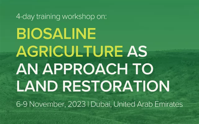 Biosaline agriculture as an approach to land restoration