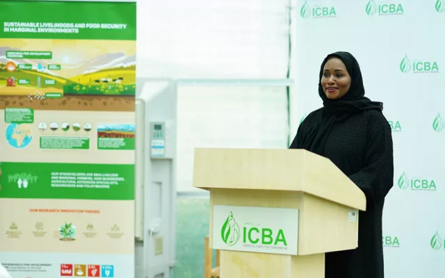 Welcoming participants, Dr. Tarifa Alzaabi, Director General of ICBA, said: “Neglected and underutilized crops like millets can become more than just a healthy food in local diets and serve as a powerful resource in the climate change adaption toolkit. Through its research, ICBA strives to promote climate-resilient crops to enhance and sustain agri-food systems in marginal environments.”