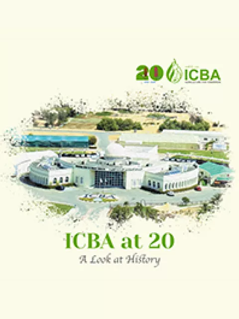 ICBA at 20: A Look at History