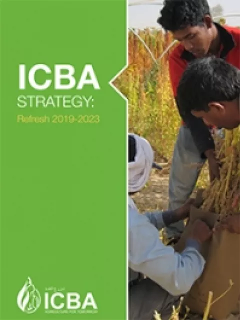  ICBA Strategy: Refresh 2019-2023