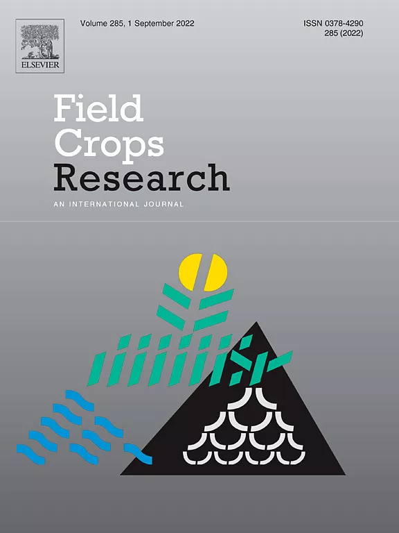 Minimizing trade-offs between wheat yield and resource-use efficiency in the Nile Delta – A multi-model analysis