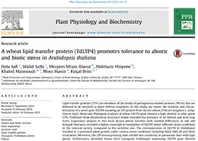 A wheat lipid transfer protein (TdLTP4) promotes tolerance to abiotic and biotic stress in Arabidopsis thaliana