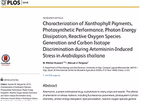 Chlorophyll pigments, photosynthetic performance and reactive oxygen species generation during artemisinin-induced stress in Arabidopsis thaliana