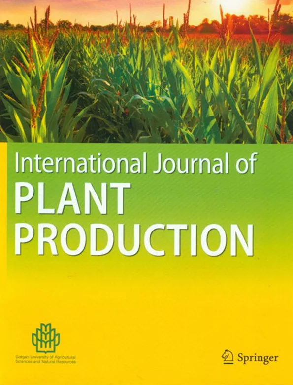 Modelling Climate Uncertainty and Adaptations for Soybean-Based Cropping System