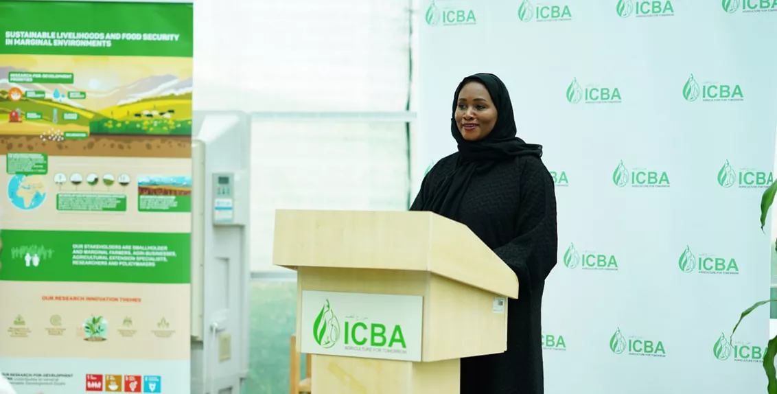 Welcoming participants, Dr. Tarifa Alzaabi, Director General of ICBA, said: “Neglected and underutilized crops like millets can become more than just a healthy food in local diets and serve as a powerful resource in the climate change adaption toolkit. Through its research, ICBA strives to promote climate-resilient crops to enhance and sustain agri-food systems in marginal environments.”