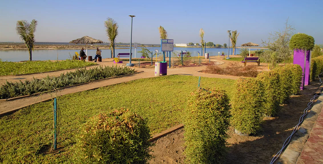 تمثل هذه الحديقة ثمرة تعاون استمر لمدة عام بين المتخصصين والخبراء من بلدية مدينة أبو ظبي وإكبا.