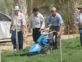 Farmers’ Day at Madinat Zayed 