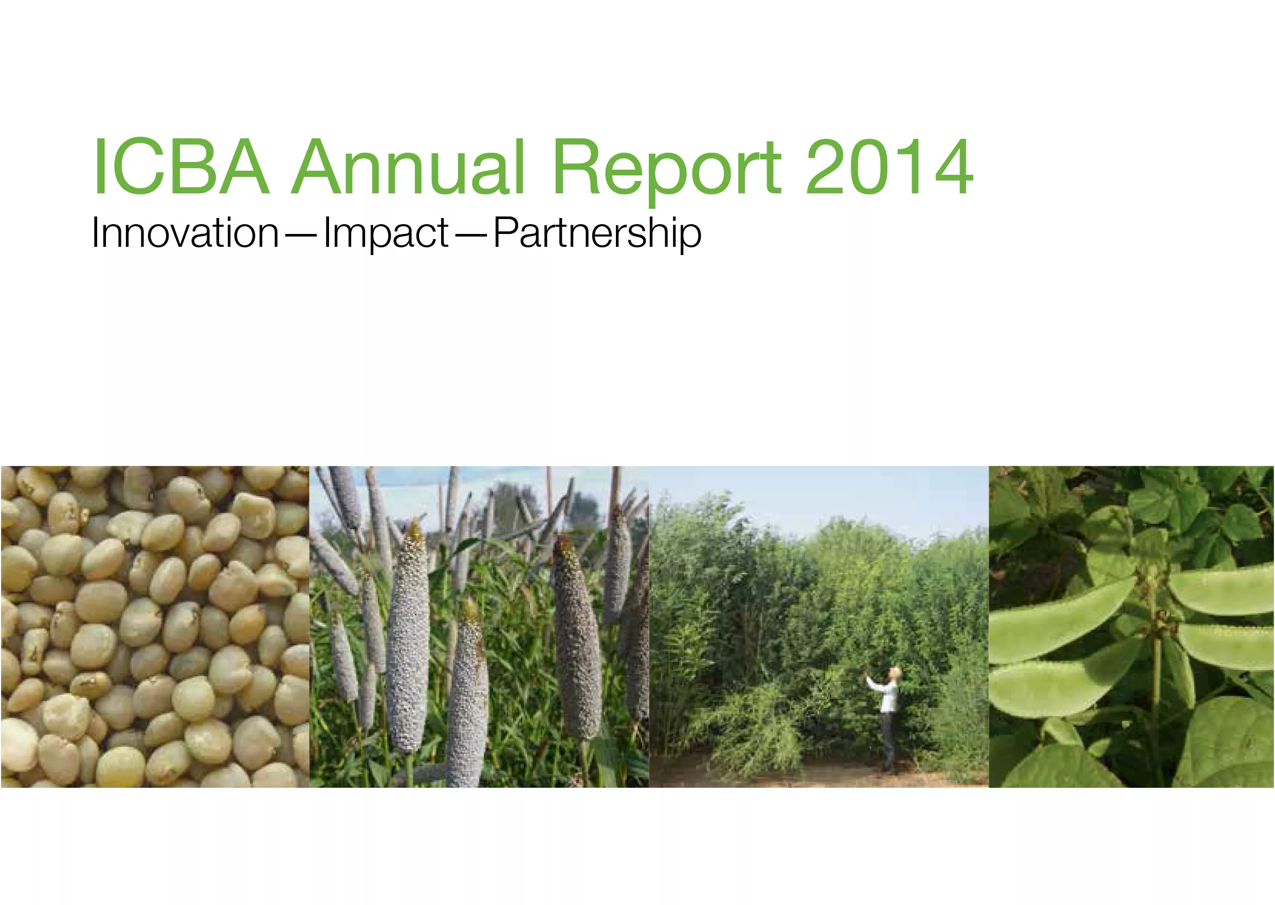 ICBA Annual Report 2014