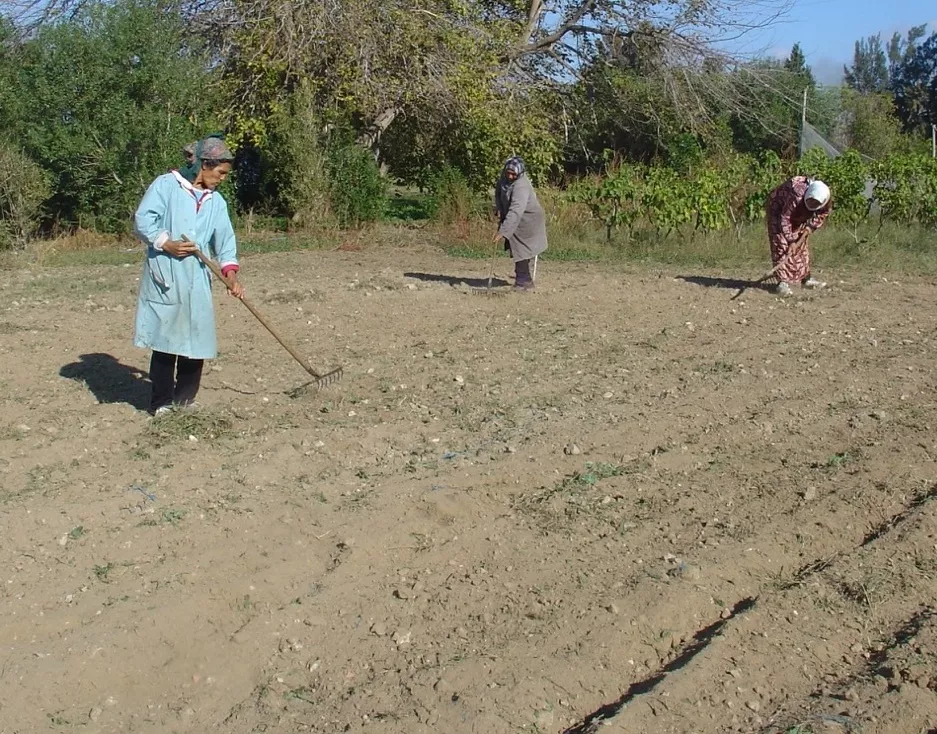 New research paper calls for global action on soils