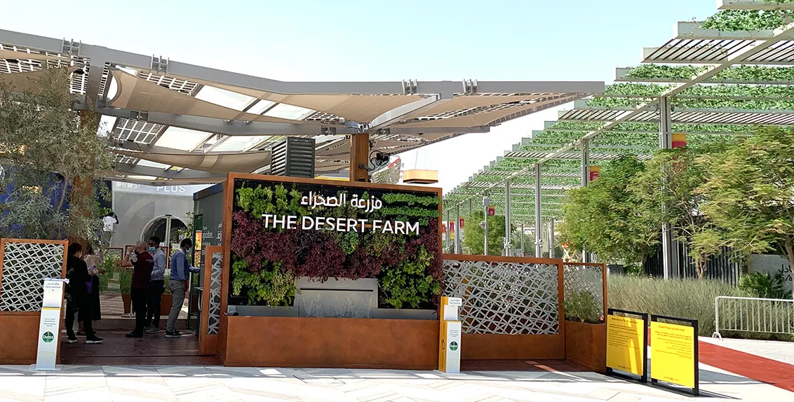 Managed by a team of scientists and specialists from ICBA, the installation was a proof-of-concept circular agriculture model that showcased innovations for food, feed, energy, and water security in desert environments.